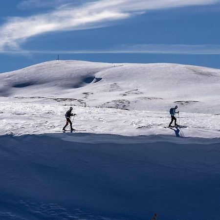 Lajoux Studio Chaleureux Au Depart Des Sentiers Et Pistes De Ski מראה חיצוני תמונה