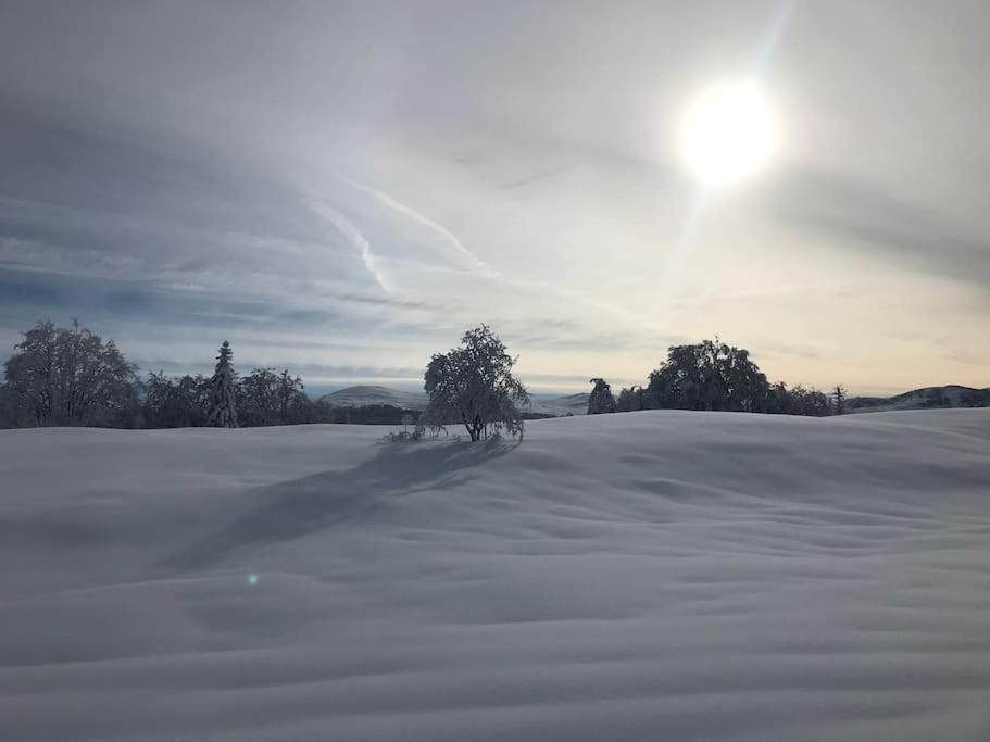 Lajoux Studio Chaleureux Au Depart Des Sentiers Et Pistes De Ski מראה חיצוני תמונה