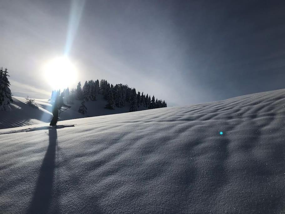 Lajoux Studio Chaleureux Au Depart Des Sentiers Et Pistes De Ski מראה חיצוני תמונה