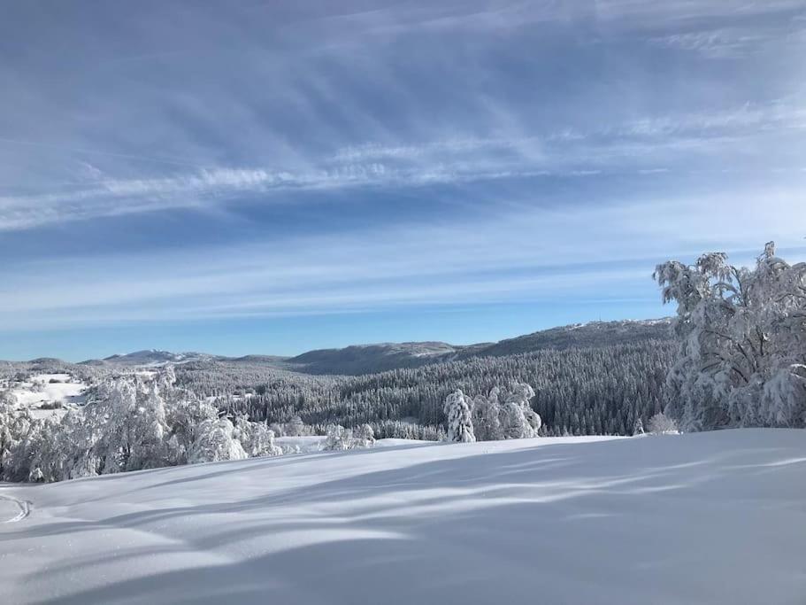 Lajoux Studio Chaleureux Au Depart Des Sentiers Et Pistes De Ski מראה חיצוני תמונה